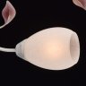 Потолочная люстра MW-Light Восторг с поддержкой Алиса 242016508-A