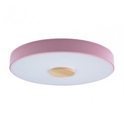 Потолочный светодиодный светильник Axel Loft It 10003/24 Pink