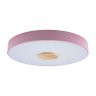 Потолочный светодиодный светильник Axel Loft It 10003/24 Pink