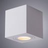 Уличный потолочный светильник Arte Lamp Galopin A1461PL-1WH
