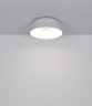 Потолочный светодиодный светильник с пультом ДУ Crotone Globo 48801W-45