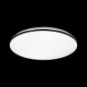 Настенно-потолочный светодиодный диммируемый светильник с Bluetooth и пультом ДУ Sonex Vaka 3042/EL