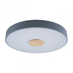 Потолочный светодиодный светильник Axel Loft It 10003/24 Grey