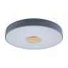 Потолочный светодиодный светильник Axel Loft It 10003/24 Grey