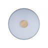 Потолочный светодиодный светильник Axel Loft It 10003/24 Grey