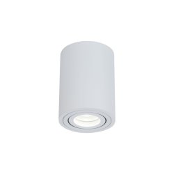 Потолочный светильник Maytoni Alfa C016CL-01W
