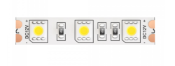 5м. Светодиодная лента холодного цвета 6000К, 14,4W, 12V, 60LED, IP20 Led strip Maytoni 10130