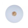 Потолочный светодиодный светильник Axel Loft It 10003/24 White