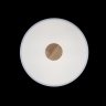 Потолочный светодиодный светильник Axel Loft It 10003/24 White