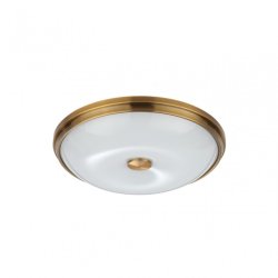 Настенно-потолочный светильник Pelow Odeon Light 4956/4