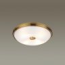 Настенно-потолочный светильник Pelow Odeon Light 4956/4