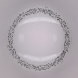 Настенный светильник Citilux Вьюнок CL917010