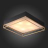 Потолочный светильник ST Luce Chodo SL1127.422.05