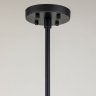 Подвесная люстра с лампочками Favourite Amusing 2877-5P+Lamps E14 P45