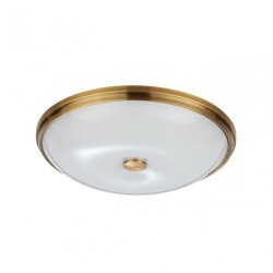 Настенно-потолочный светильник Pelow Odeon Light 4956/5