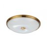 Настенно-потолочный светильник Pelow Odeon Light 4956/5