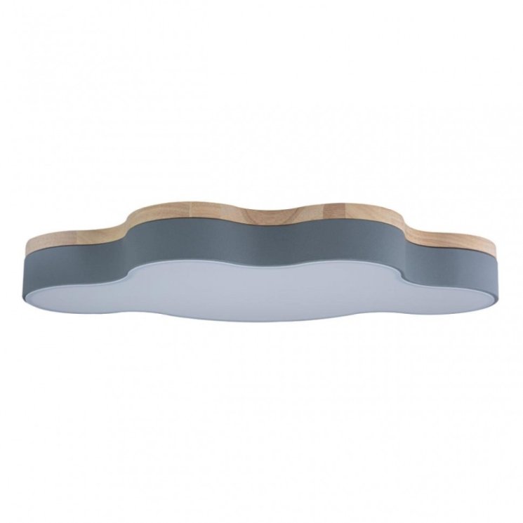 Потолочный светодиодный светильник Axel Loft It 10005/36 Grey
