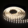 5м. Светодиодная лента белого и RGB цвета 4200К 5050, 24W , 24V, 60LED, IP20 Elektrostandard (a053702)