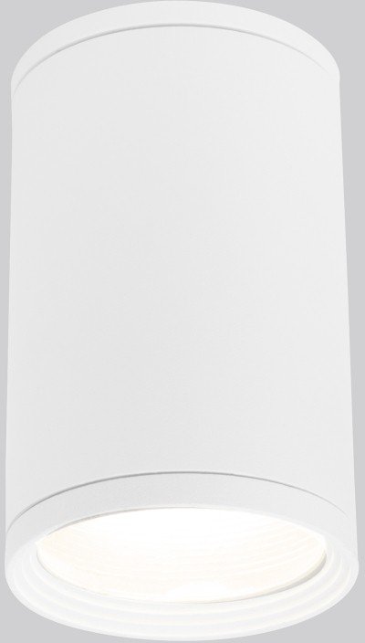 Уличный накладной светильник Elektrostandard Light 2101 IP65 35128/H белый (a056333)