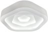 Потолочная светодиодная люстра с пультом ДУ Fametto Nimfea DLC-N504 62W IRON/WHITE