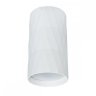 Накладной светильник Arte Lamp Fang A5557PL-1WH