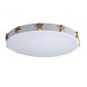 Потолочный светодиодный светильник Axel Loft It 10006/36 White