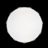 Потолочный светодиодный светильник Axel Loft It 10006/36 White