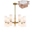 Подвесная люстра с лампочками Favourite Amusing 2876-7P+Lamps E14 P45