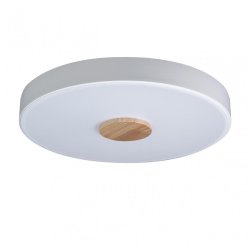 Потолочный светодиодный светильник Axel Loft It 10003/24 White