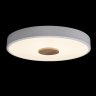 Потолочный светодиодный светильник Axel Loft It 10003/24 White