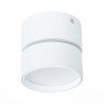 Накладной светодиодный светильник ST Luce ST651 ST651.532.09