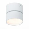 Накладной светодиодный светильник ST Luce ST651 ST651.532.09