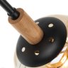 Потолочная люстра Oxford Arte lamp Oxford A2716PL-8BK