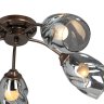 Люстра потолочная Vitaluce V4936-7/5PL