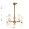 Подвесная люстра с лампочками Favourite Amusing 2876-5P+Lamps E14 P45