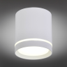 Накладной светодиодный светильник Omnilux Capurso OML-102409-05