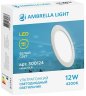 Встраиваемый светодиодный светильник Ambrella light Present 300124