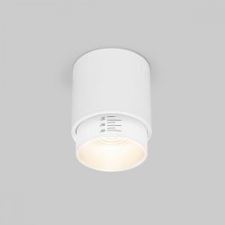 Накладной светильник Elektrostandard Cors 25032/LED белый (a062385)