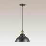 Подвесной светильник Lumion Dario с лампочкой 3675/1+Lamps E27 P45