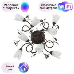 Потолочная люстра MW-Light Аида с поддержкой Маруся 323013708-М