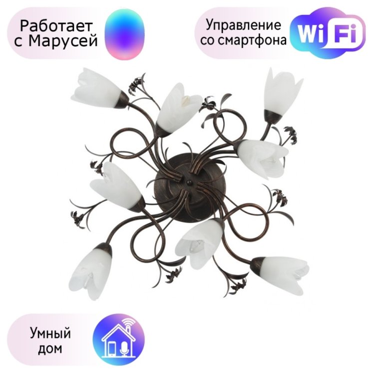 Потолочная люстра MW-Light Аида с поддержкой Маруся 323013708-М