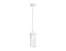 Подвесной светильник Ambrella light Traditional TR8161