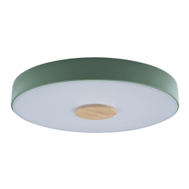 Потолочный светодиодный светильник Axel Loft It 10003/24 Green