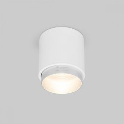 Накладной светильник Elektrostandard Cors 25032/LED белый/серебро (a062387)