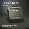 Умное Wi-Fi реле 1 канал Elektrostandard 76006/00 (a059324)