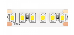 5м. Светодиодная лента холодного цвета 6000К, 20W, 24V, 180LED, IP20 Led strip Maytoni 10156