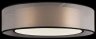 Потолочный светильник с пультом ДУ Freya Zoticus FR6005CL-L36G