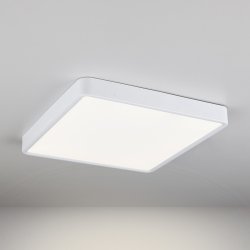 DLS034 24W 4200K белый Накладной потолочный светодиодный светильник Elektrostandard a043018