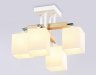 Спот Ambrella light Traditional TR9512