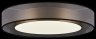 Потолочный светильник с пультом ДУ Freya Zoticus FR6005CL-L48G
